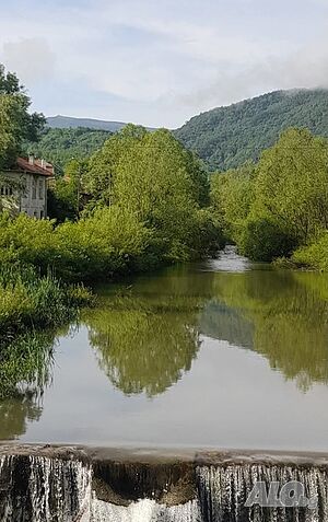 image_13