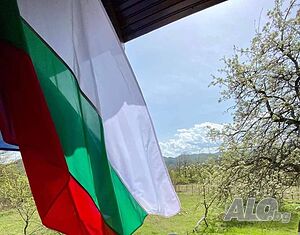 image_3