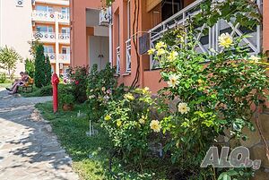 image_15