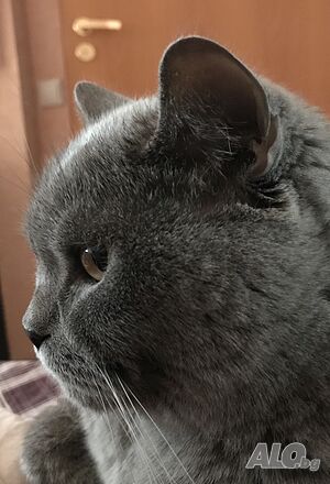 image_7