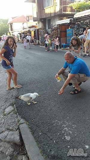 image_4