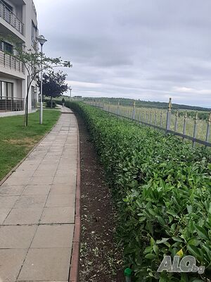 image_15