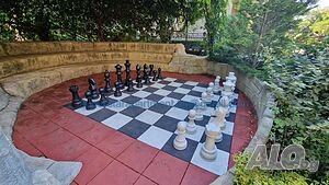 image_11