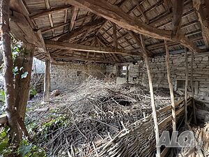 image_8