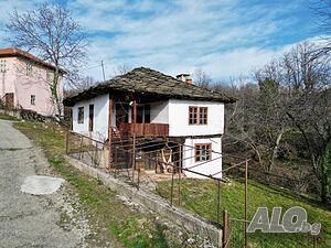 image_7