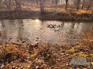 image_3