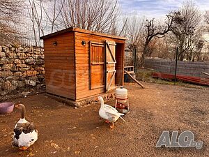image_15