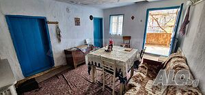 image_15