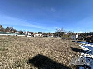 image_6