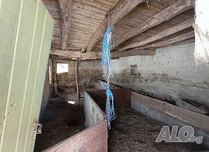 image_12