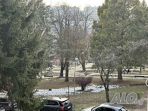 image_11