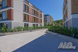 image_10