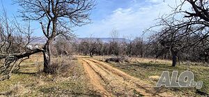image_7