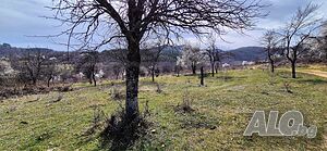 image_10