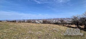 image_11