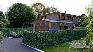 image_12