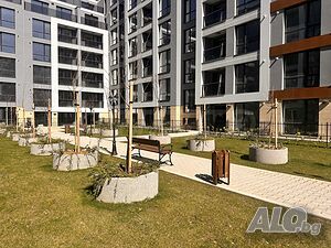image_5