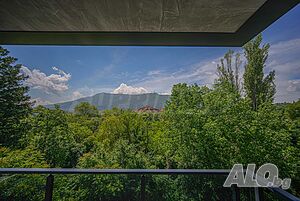 image_14