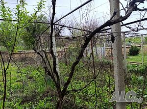 image_8
