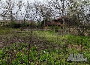 image_9