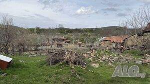 image_12