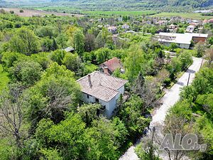 image_9