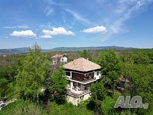 image_11