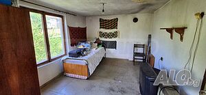 image_13