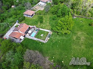 image_5