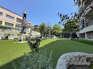 image_6