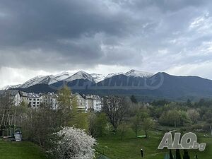 image_11