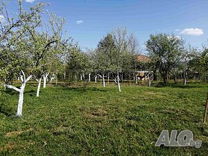 image_6
