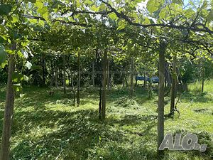 image_11