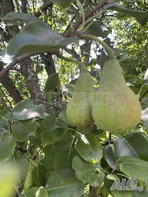 image_12