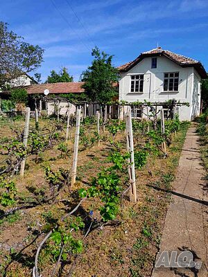image_3