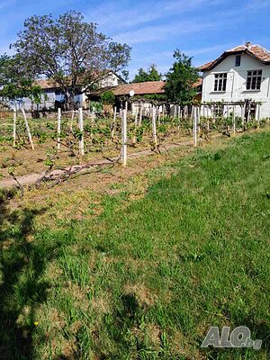 image_5