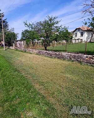 image_14