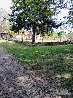 image_15