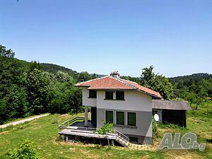 image_9