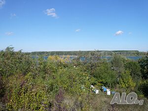 image_6