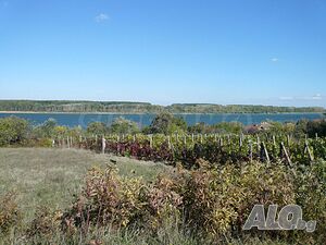 image_7