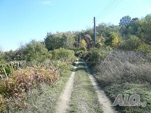image_9