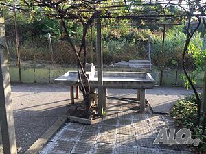 image_6