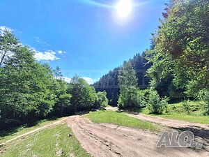 Земеделска земя до лековитата вода на ”Ръждавец” в с. Бачево