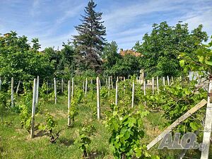 image_12