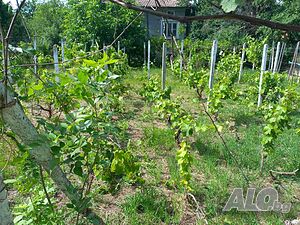image_14