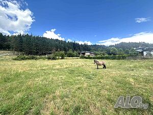 Панорамен парцел в регулация с гледка към Рила, Пирин и Родопите в Разлог