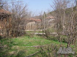 image_9