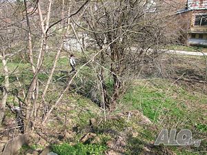 image_11