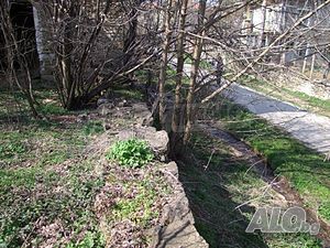 image_15